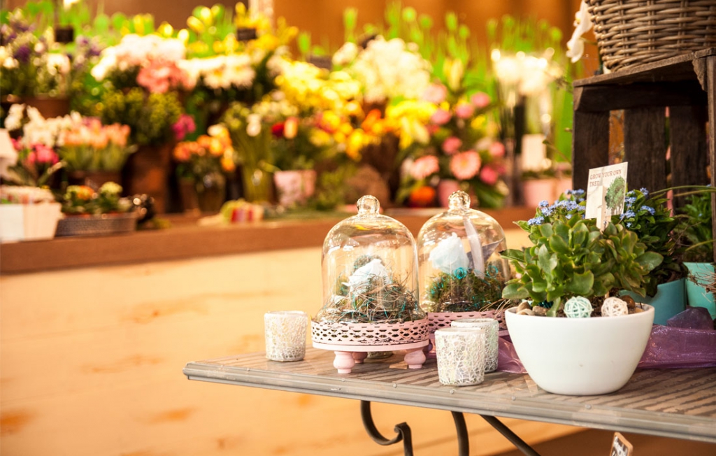 Blumenfee Blumenhandel in Mannheim und Heidelberg. Blumensträuße